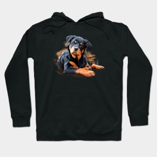 Rottweiler Welpe Hoodie